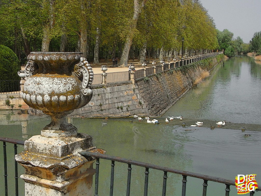 Foto: Jardín de la Isla 03-Rio Tajo - Aranjuez (Madrid), España