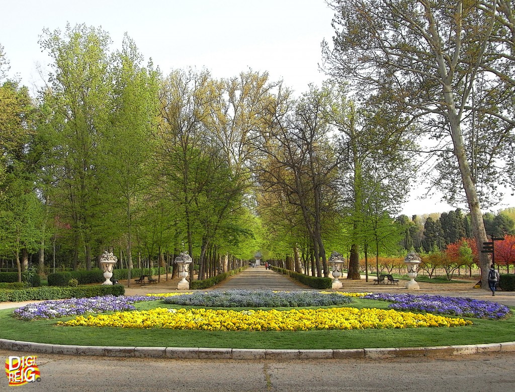 Foto: Jardín del Príncipe 01-Paseo - Aranjuez (Madrid), España