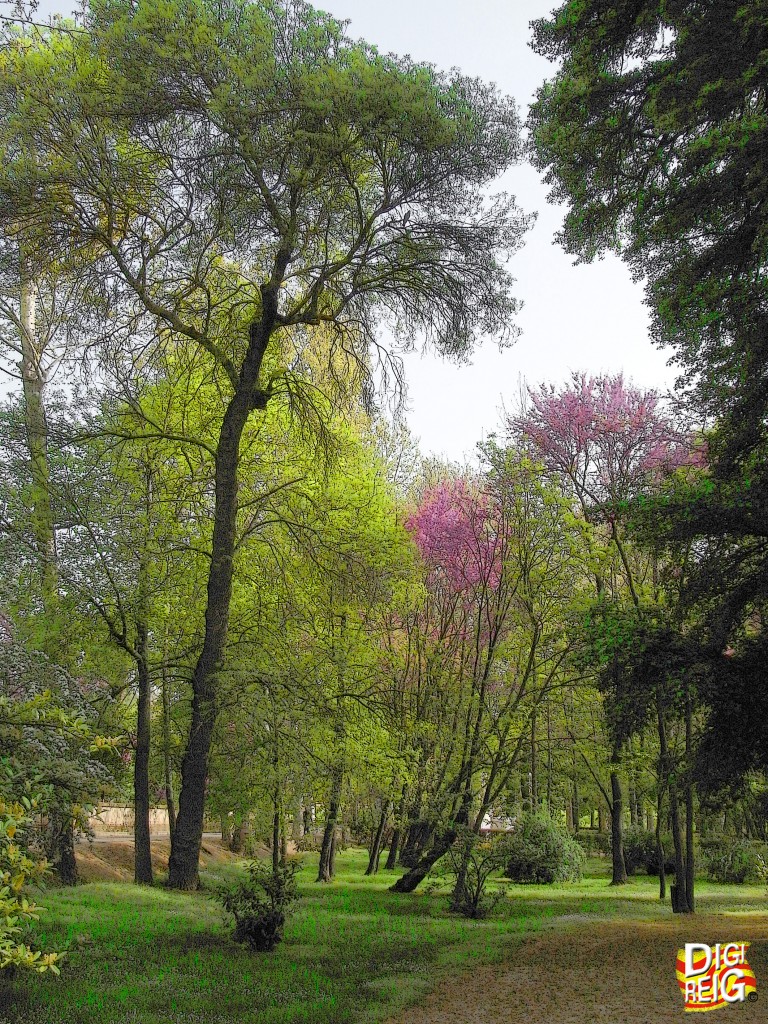Foto: Jardín del Príncipe 05-Floresta primaveral. - Aranjuez (Madrid), España
