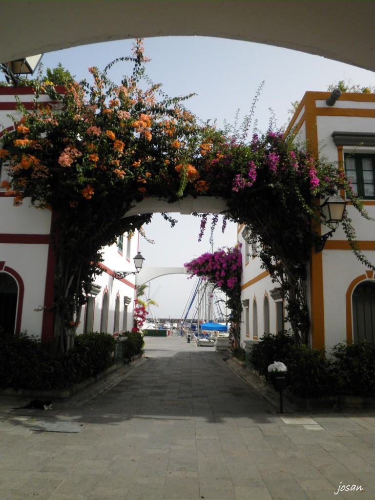 Foto: dando una vuelta por puerto mogan - Puerto Mogan (Las Palmas), España