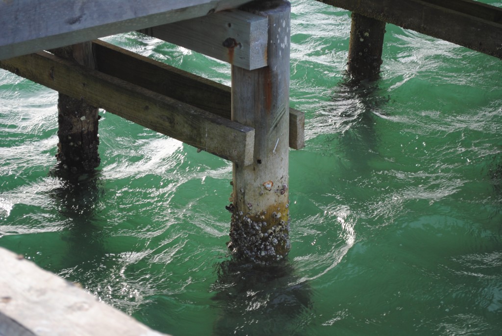 Foto de Isla de Coche (Isla Margarita), Venezuela