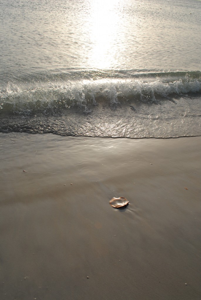 Foto de Isla de Coche (Isla Margarita), Venezuela