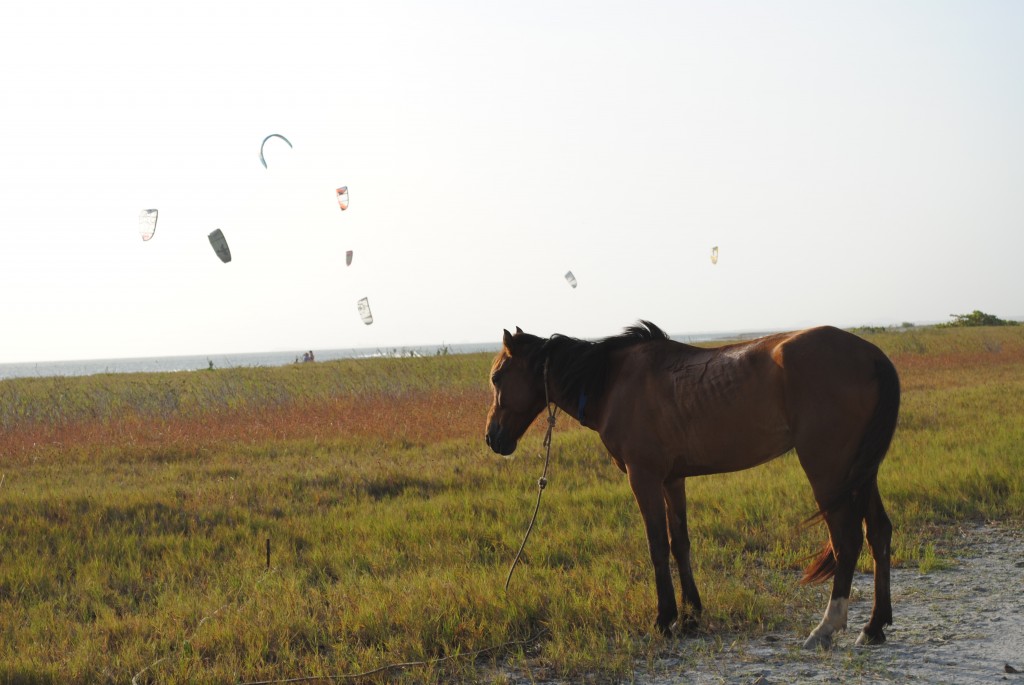 Foto de Isla de Coche (Isla Margarita), Venezuela