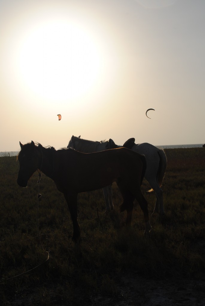Foto de Isla de Coche (Isla Margarita), Venezuela