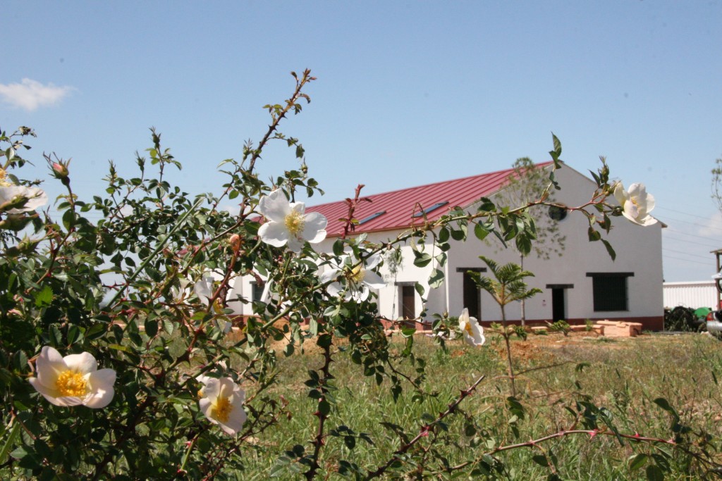 Foto: Las Juncias - Carmona (Sevilla), España