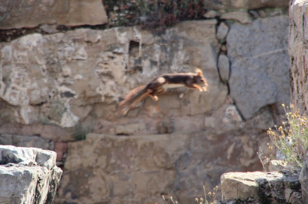 Foto de Sagunto (València), España