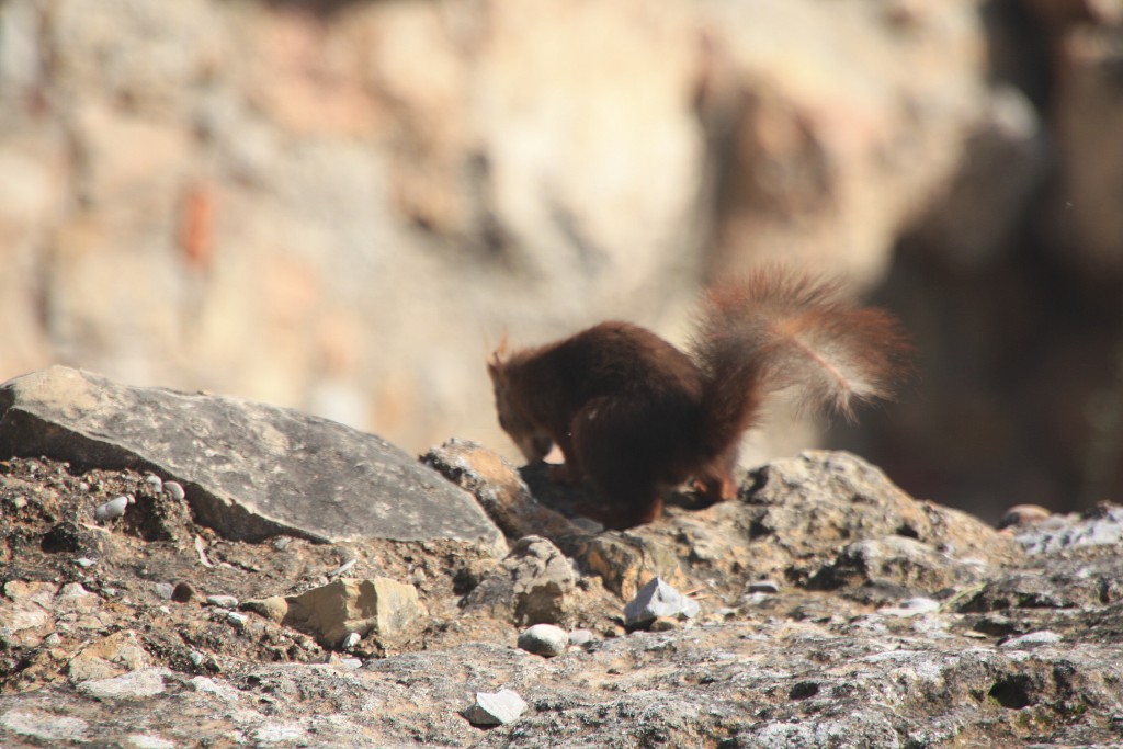 Foto de Sagunto (València), España