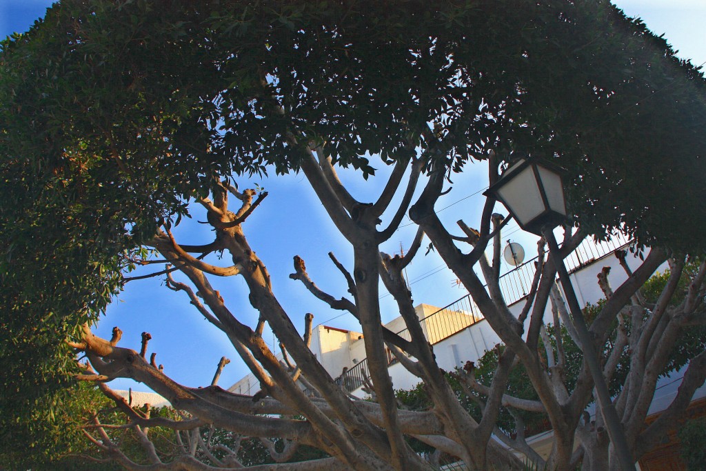 Foto de Mojácar (Almería), España