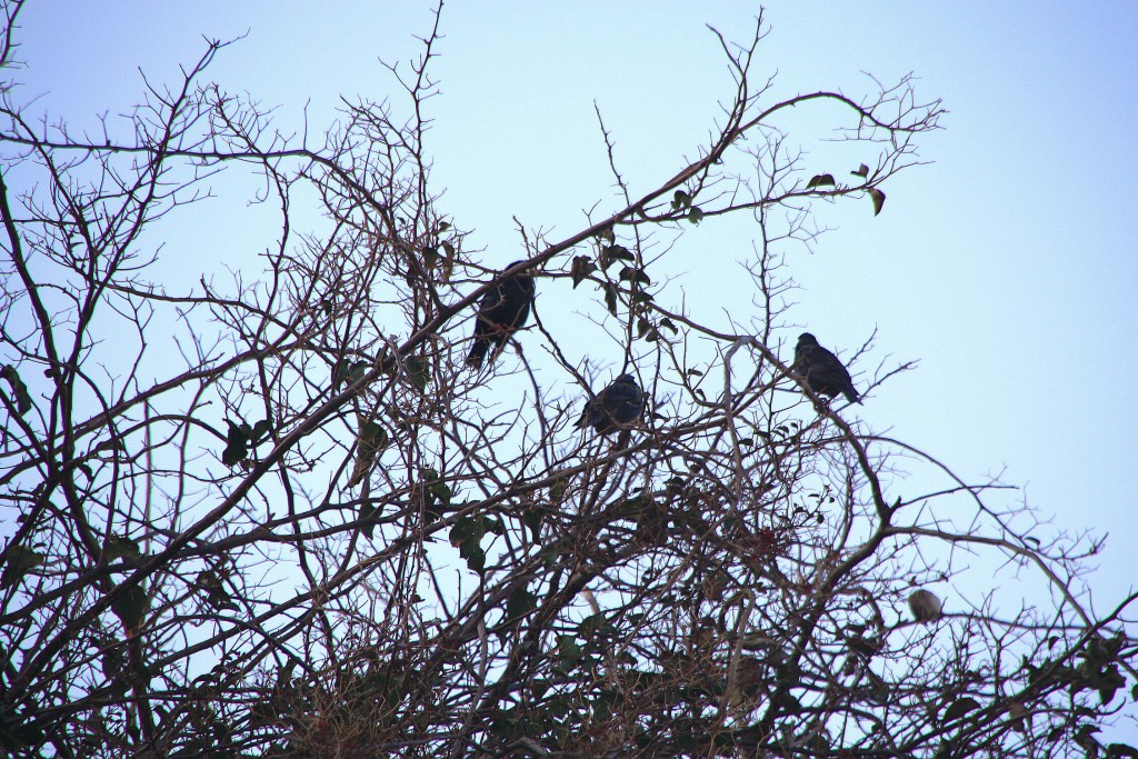 Foto de Mojácar (Almería), España