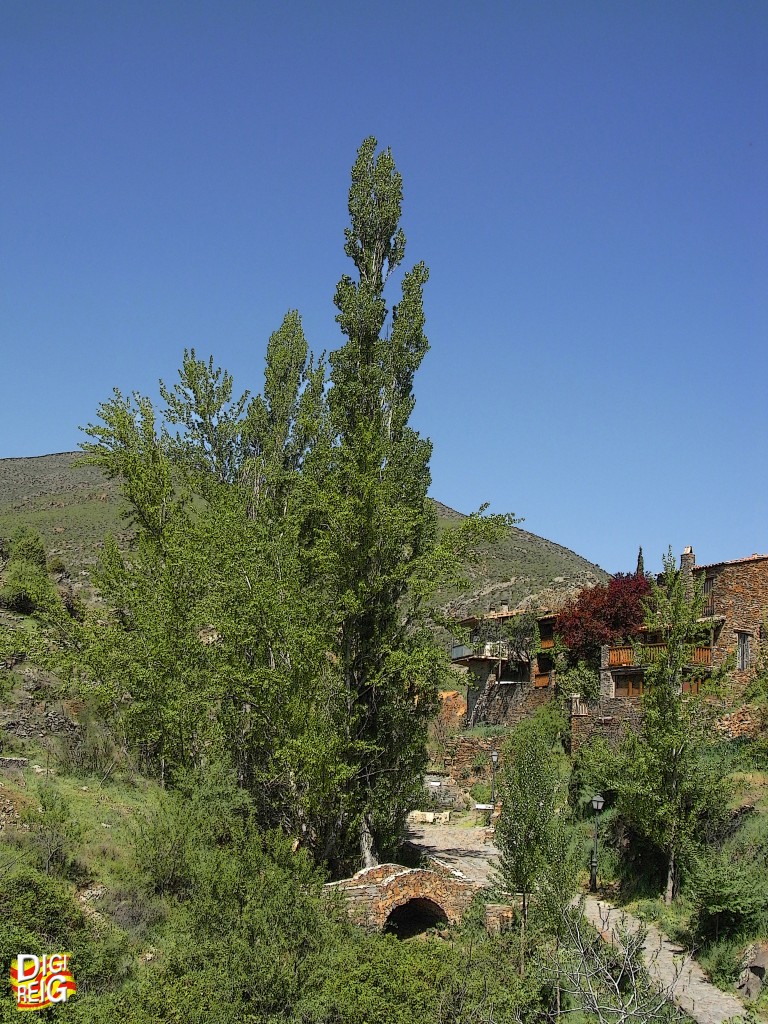 Foto: Puente y el pueblo. - Patones de Arriba (Madrid), España