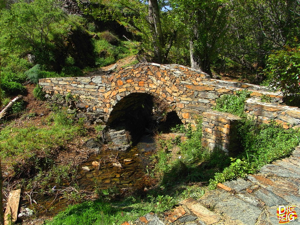 Foto: El Puente. - Patones de Arriba (Madrid), España