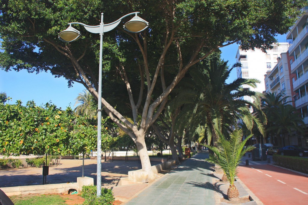 Foto de Almería (Andalucía), España