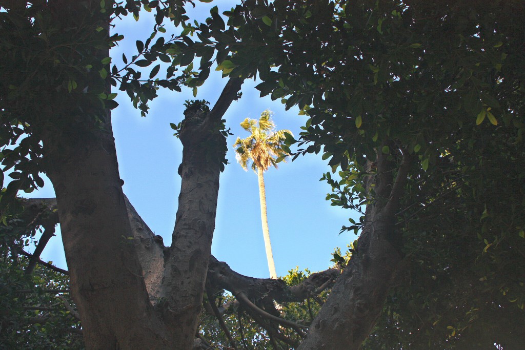 Foto de Almería (Andalucía), España