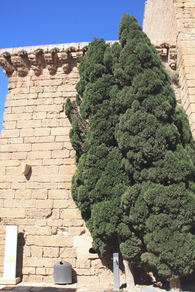 Foto de Almería (Andalucía), España