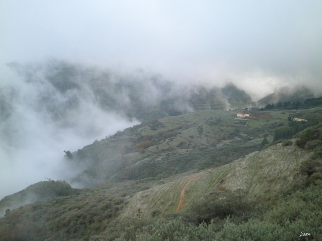 Foto: un paseo por la cumbre - ineterior (Las Palmas), España