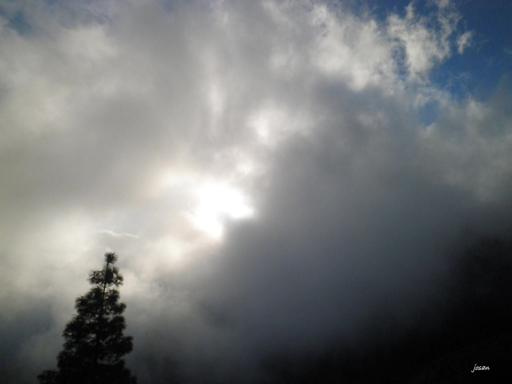 Foto: un paseo por la cumbre - Las Palmas (Canarias), España