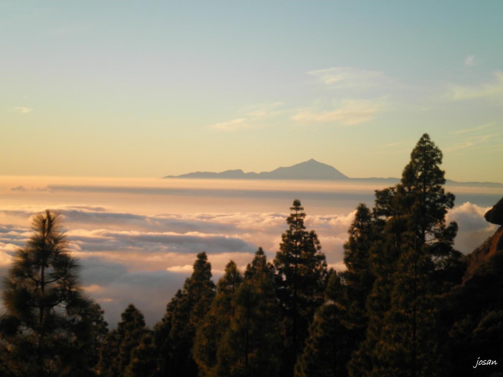 Foto: un paseo por la cumbre - Las Palmas (Canarias), España