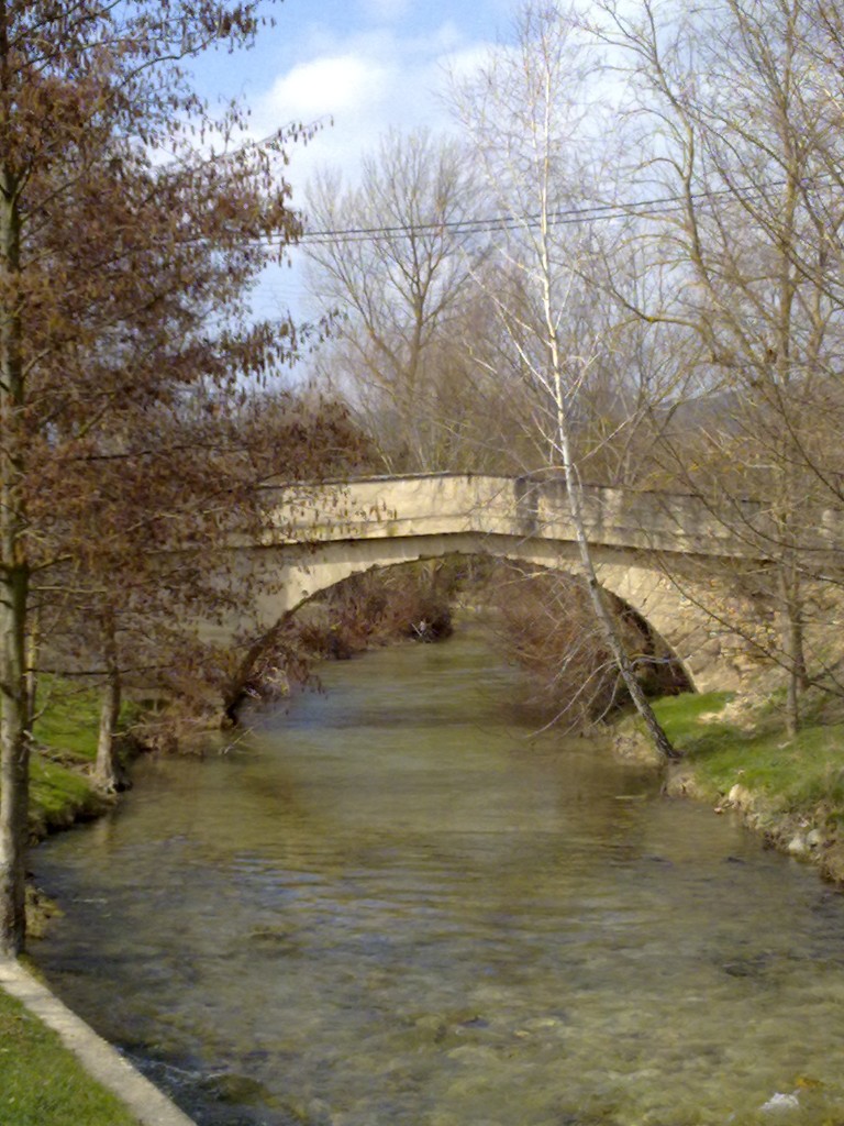 Foto: Puente sobre el Omecillo - Villanañe (Álava), España