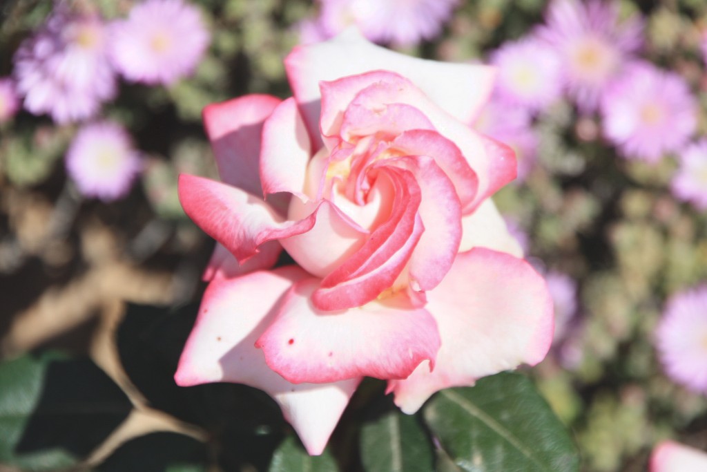 Foto de Almería (Andalucía), España