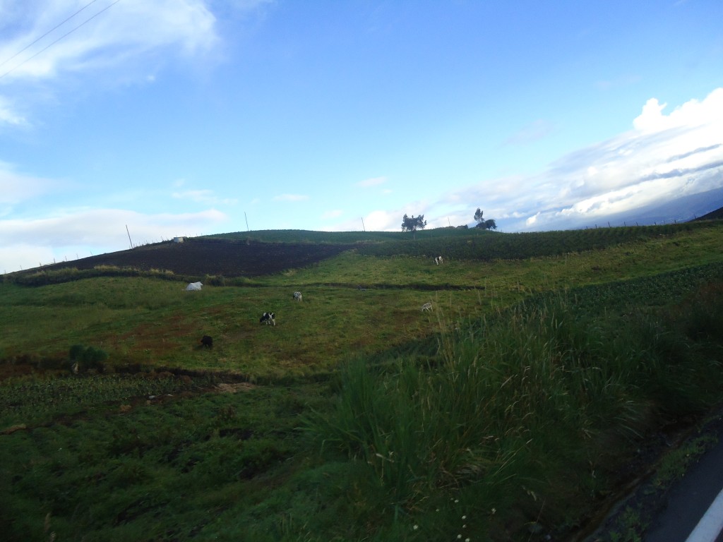 Foto: Paisaje andino. - Guano (Chimborazo), Ecuador