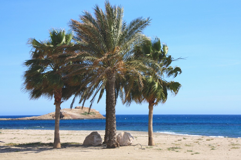 Foto: Playa - Carboneras (Almería), España