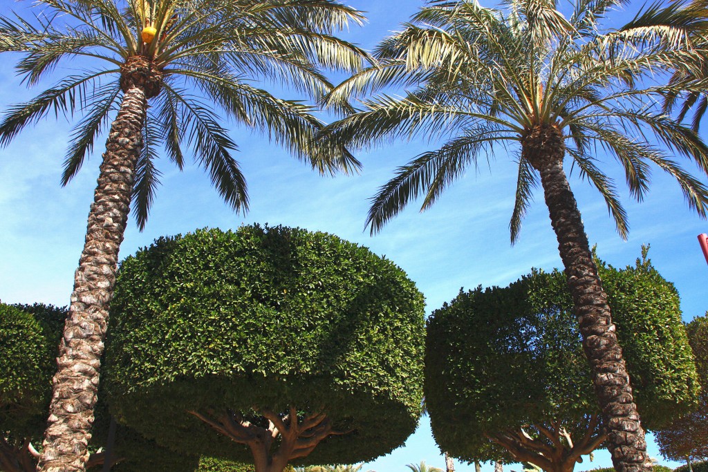 Foto: Parque - Carboneras (Almería), España