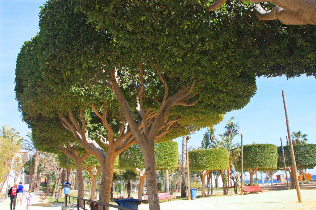 Foto: Parque - Carboneras (Almería), España