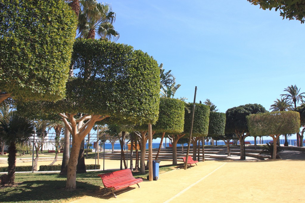 Foto: Parque - Carboneras (Almería), España