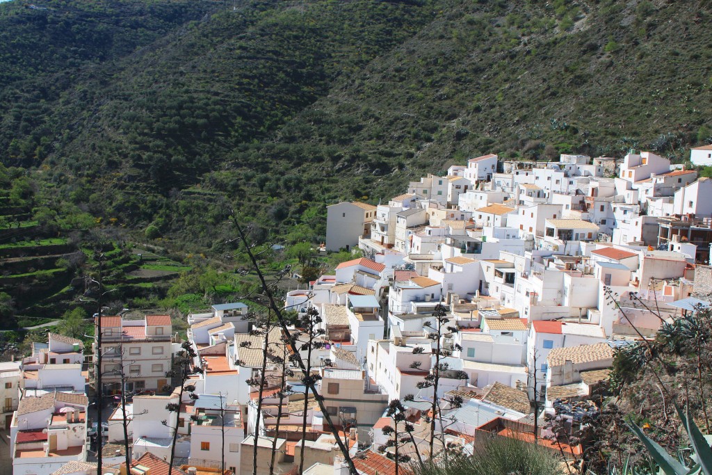 Foto: Vistas desde el castillo - Sierro (Almería), España