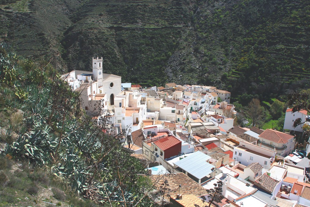 Foto: Vista desde el castillo - Sierro (Almería), España