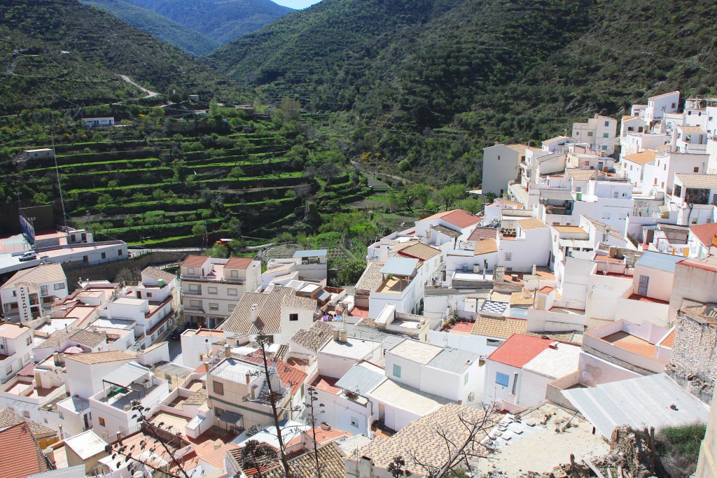 Foto: Vistas desde el castillo - Sierro (Almería), España