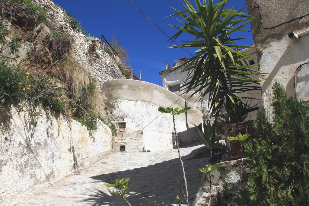 Foto: Vista del pueblo - Sierro (Almería), España
