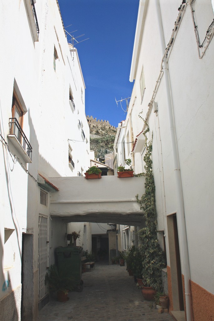 Foto: Vista del pueblo - Sierro (Almería), España