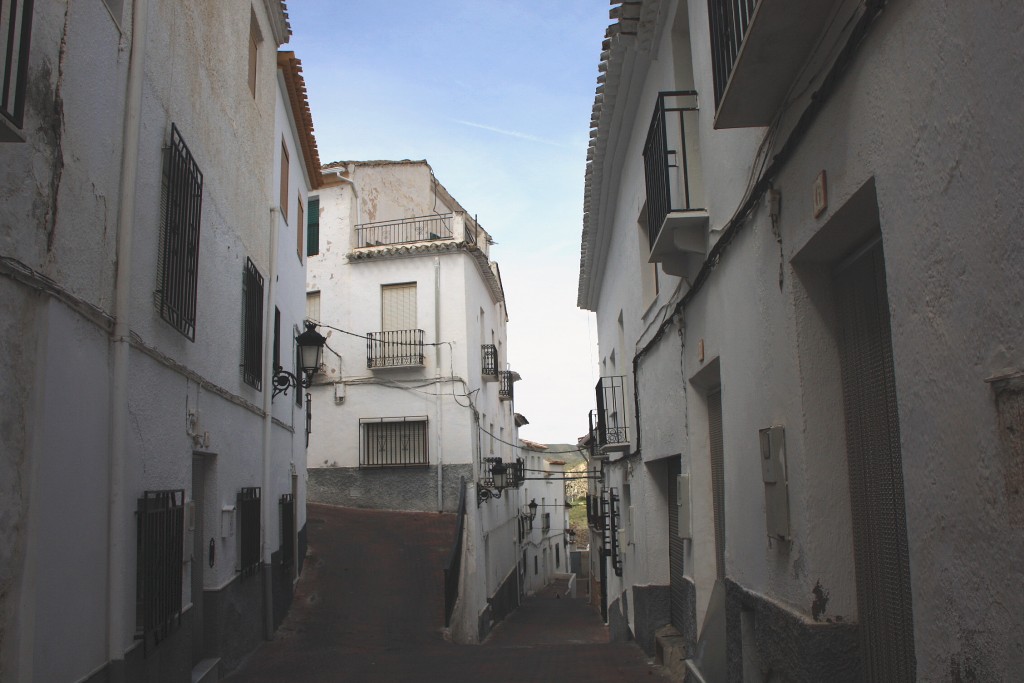 Foto: Vista del pueblo - Albánchez (Almería), España