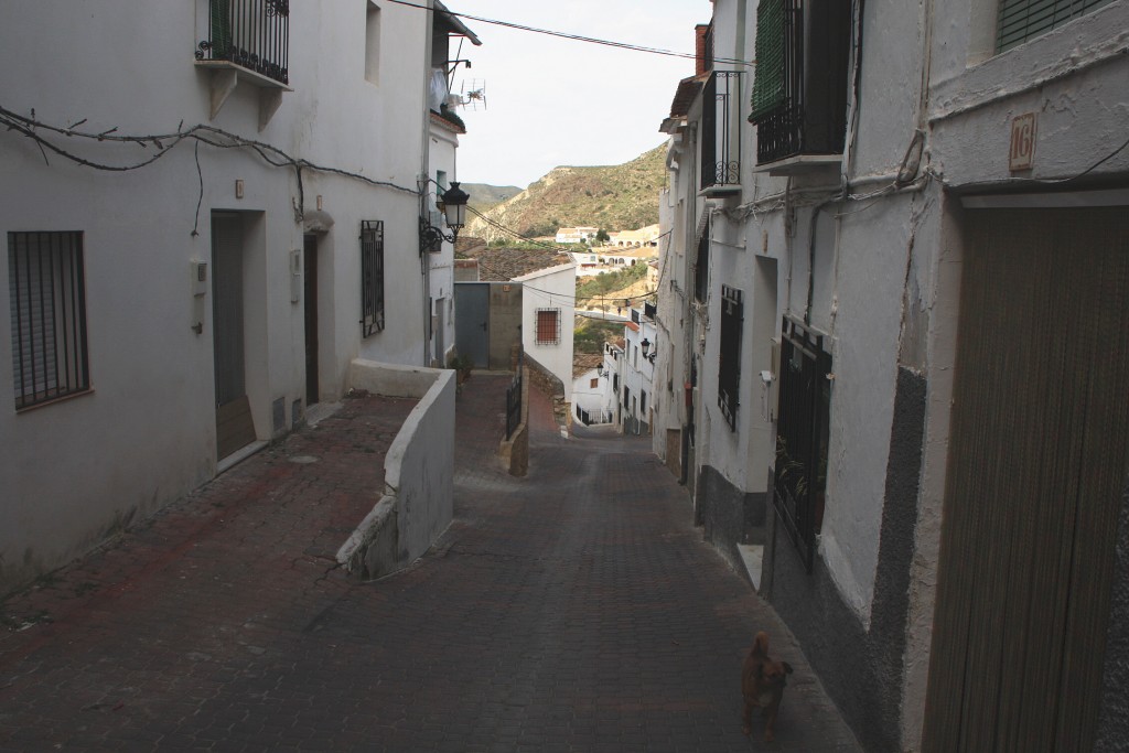 Foto: Vista del pueblo - Albánchez (Almería), España