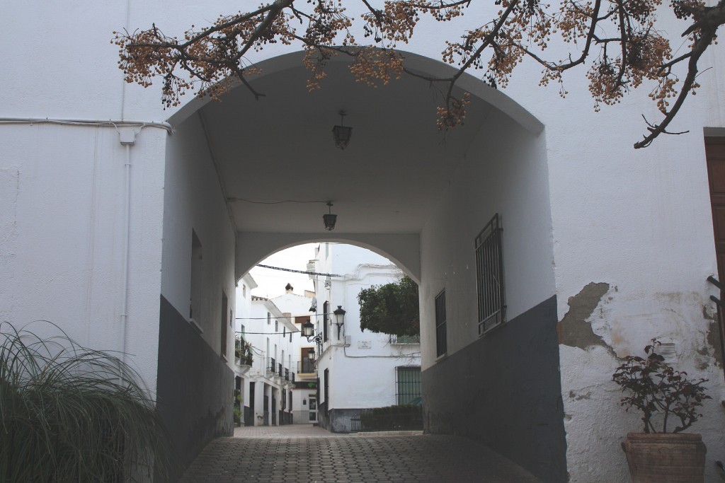 Foto: Vista del pueblo - Albánchez (Almería), España