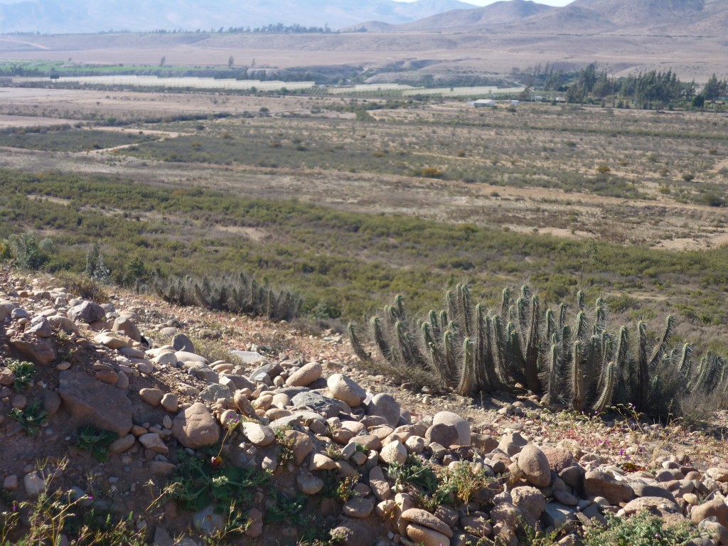 Foto: PAISAJE - Vallenar (Atacama), Chile