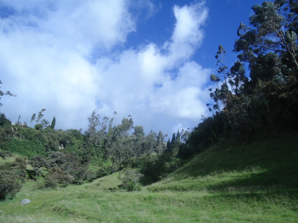 Foto: Paisaje - Matus (Chimborazo), Ecuador