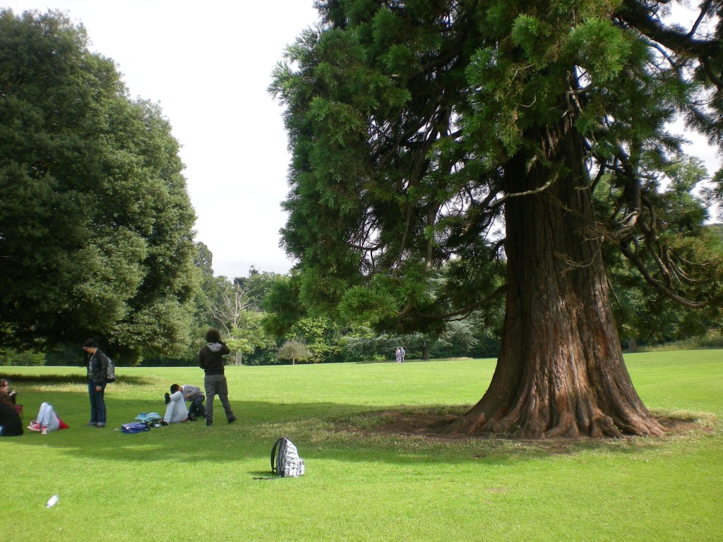 Foto: Blaise Castle - Bristol (England), El Reino Unido