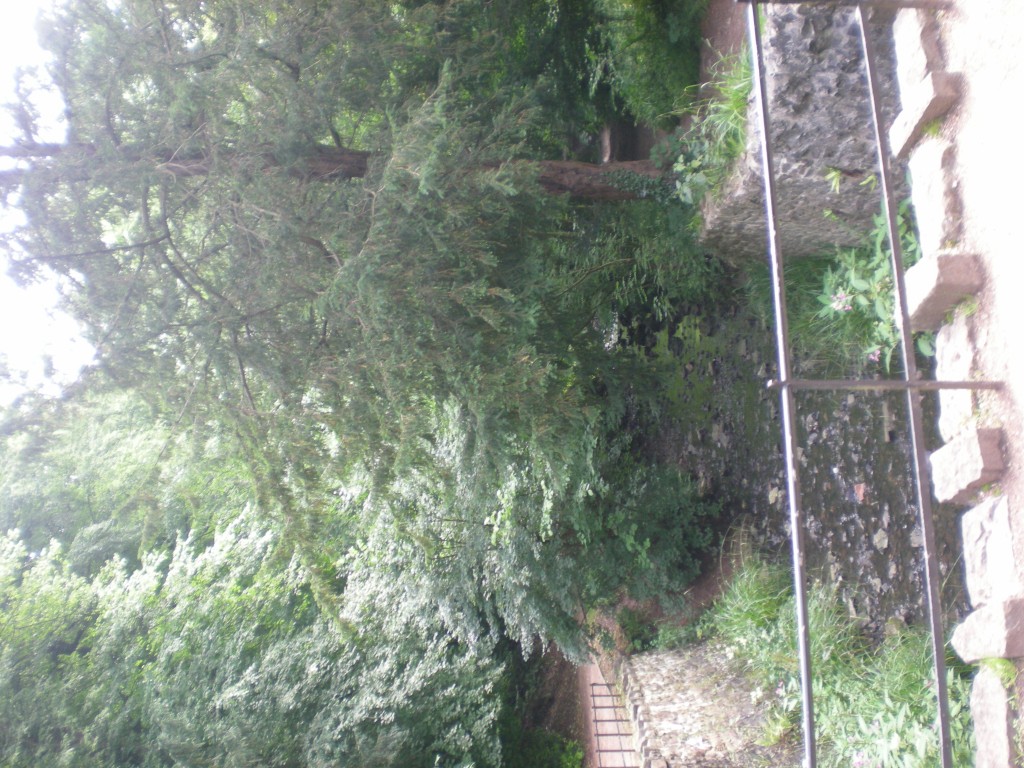 Foto: Blaise Castle - Bristol (England), El Reino Unido