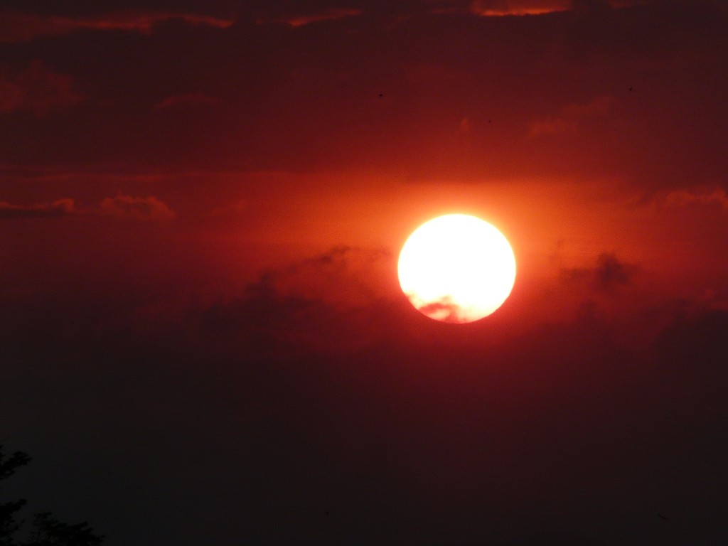 Foto: Atardecer en Carrillos de Poás - Carrilos de Poás (Alajuela), Costa Rica