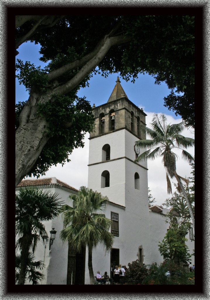 Foto: Canarias - Icod (Santa Cruz de Tenerife), España