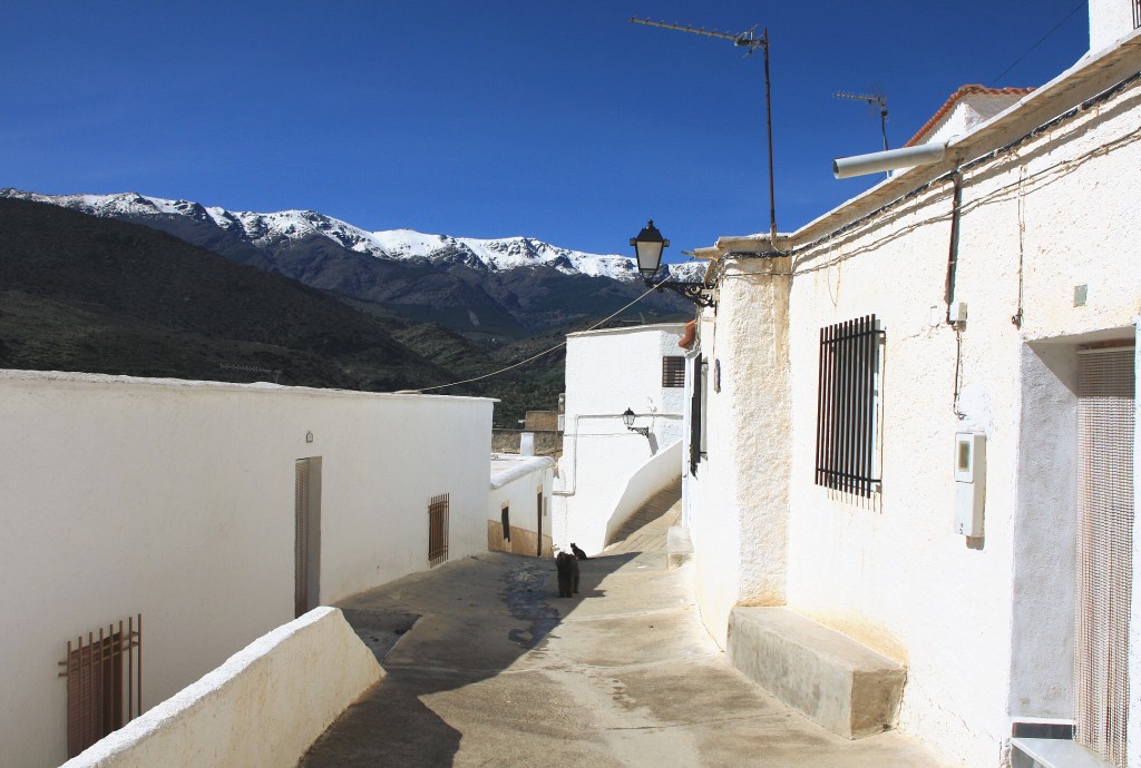 Foto: Centro histórico - Abla (Almería), España