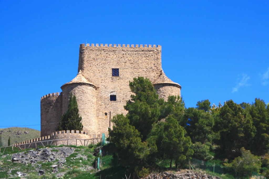Foto: Castillo - Gergal (Almería), España