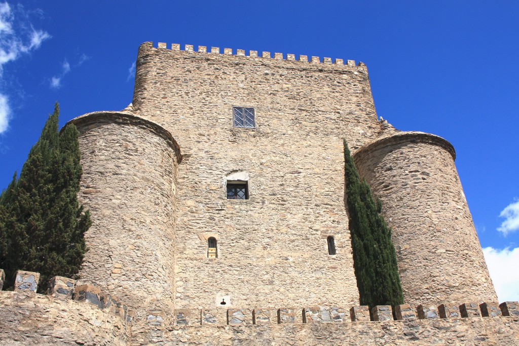 Foto: Castillo - Gergal (Almería), España