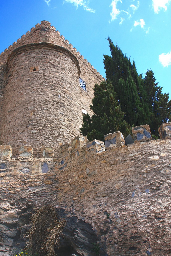 Foto: Castillo - Gergal (Almería), España