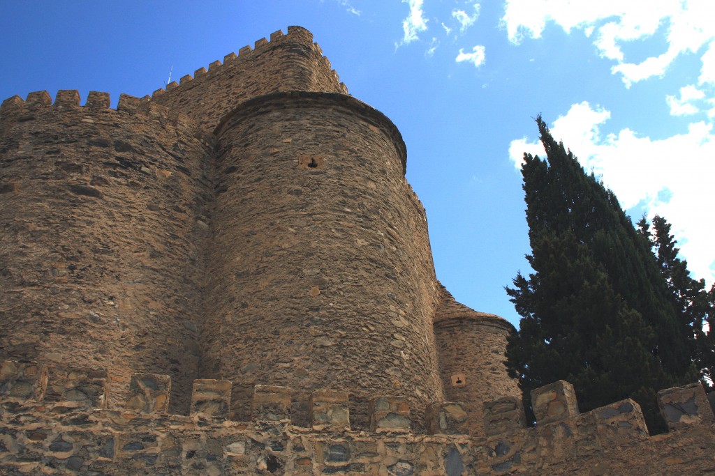 Foto: Castillo - Gergal (Almería), España