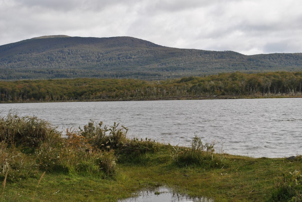 Foto: Lago Negro - Tohuin (Tierra del Fuego), Argentina