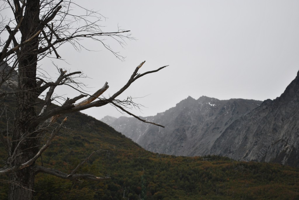 Foto: Tren fin del Mundo - Ushuaia (Tierra del Fuego), Argentina