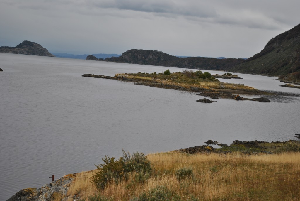 Foto: Parque Nacional La Pataia - Ushuaia (Tierra del Fuego), Argentina